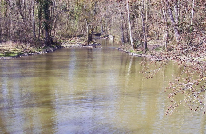 Vaux le vicomte 3.jpg