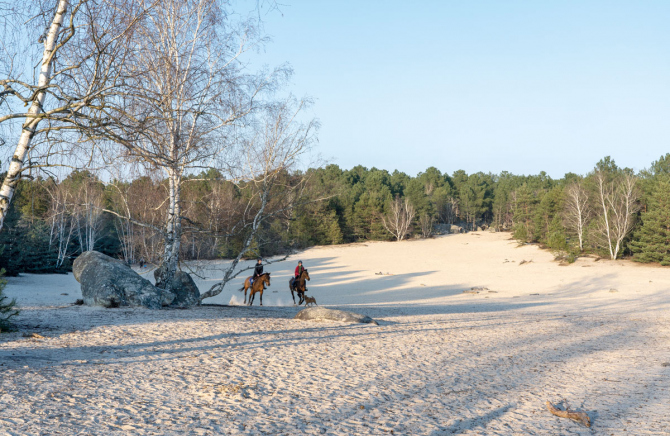 Décors naturels Île-de-France
